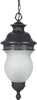 60-881 Exterior -Hanging - 714371 - Capital Lighting, Inc.