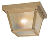 Exterior -Ceiling Mount - 21774 - Light Center (The)