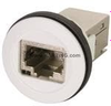 Modular Connectors / Ethernet Connectors - 09454521562 - VAST STOCK CO., LIMITED