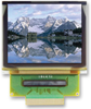 Oled, 16,0X128, Passive, Rgb, Multi I/f; Resolution Midas - 99W1297 - Newark, An Avnet Company