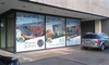 FaceMount Perforated Window Grip- 27in x 12ft - PWG27T - LexJet Corporation
