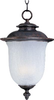 Exterior -Hanging - 284294 - Light Center (The)