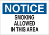 No Smoking Sign - 72329 - Brady Corporation