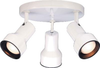 76-404 Semi-Flush Mts.-Spot Lights - 693645 - Capital Lighting, Inc.