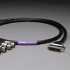 CANARE 8CH DB25 Audio Snake Cable 25-PIN TO 3-PIN XLR FEMALE -- 20DA88202-DB25XJ-015 - Image