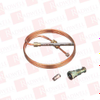 Thermocouple/RTD - 36988645 - Radwell International