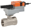 Characterized Control Valves -- B238+NRQB24-MFT - Image
