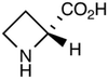 D-Azetidine-2-Carboxylic Acid - 6984 - Medical Isotopes, Inc.