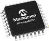 Microcontrollers - 1773020P - RS Components, Ltd.