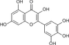 Myricetin - M2131 - TCI America