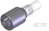 Standard Circular Connectors - 2174220-1 - TE Connectivity