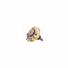 Rotary Switches -- 111-10-ND - Image