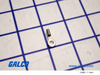 PNDT Solderless Terminals - P18-8R-C - Galco Industrial Electronics