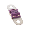 Fuses - 153.5631.6202-ND - DigiKey