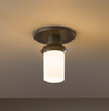 Ceiling Fighting Fixtures - 124903 - Hubbardton Forge