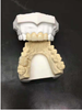 Zirconia ceramic teeth - Zhuhai Cersol Technology Co., Ltd.