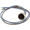 Plug/Receptacle - Radwell International