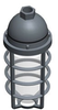 Vaporproof HID Fixture with Globe and Guard - VP2HH100QT - RAB Lighting