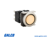 IDEC Pushbutton Illuminated - LB6ML-M1T14VW - Galco Industrial Electronics