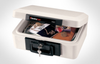 Fire Chest - 1100 - Sentry Group