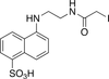 N-(Iodoacetylaminoethyl)-5-Naphthylamine-1-Sulfonic Acid - I685600 - Toronto Research Chemicals, Inc.