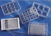 3548 - Costar 48-well Multiple-well cell culture plates with lid, treated, sterile -- GO-01959-12