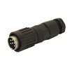 Circular Connector Assemblies - 889-T3394528-ND - DigiKey