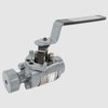 V Series Metal Seated Ball Valves -- V1-1: 1/4-4, 900-4500# - Image