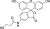2-[(5-Fluoresceinyl)aminocarbonyl]ethyl Mercaptan -- F500600