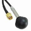 RF Antennas - ANT-DB1-WRT-RPS - Quarktwin Technology Ltd.