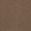 Prism 36 Broadloom 2015 Carpet - Value 1509 - J+J/Invision