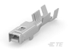 Automotive Terminals - 1-1326030-0 - TE Connectivity