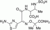 Aztreonam Amide - 20208 - Medical Isotopes, Inc.