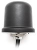 Cellular / LTE MIMO, 2.4/5.0 GHz ISM MIMO and GNSS Antenna -  - Advantech