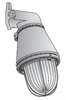 Remote Emergency Light Unit - REX1CDA618 - Hubbell Lighting, Inc.