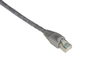 3FT Gray CAT6 550MHz Patch Cable UTP CM Snagless - EVNSL640-0003 - Black Box