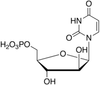 1-β-D-Arabinofuranosyluracil 5’-Monophosphate - 20047 - Medical Isotopes, Inc.