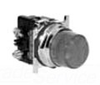 Indicating Light -- 10250T201NC2N - Image