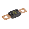 Fuses - 0MEG100.XP-ND - DigiKey