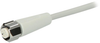 M12 Sensor cable ifm efector EVF002 - Automation24, Inc.