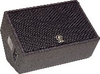 12 Inch 2-way Floor Monitor - CM12V - Visual Sound, Inc.