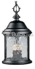 Three-Light Outdoor Hanging Lantern Fixture - P5550-31 - bulbs.com