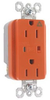 Surge Suppression Receptacle - IG5262-OSP - Thomas & Betts Corporation
