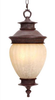 Exterior -Hanging - 214763 - Light Center (The)