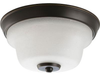 P3866-20 Flush Mounts-Bowl Style - 427575 - Capital Lighting, Inc.