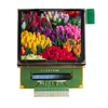 LCD, OLED, Graphic - 5491-AOC12896A0-1.27W-ND - DigiKey