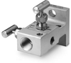 SS-V2BF8-FL - Image