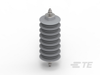 Lightning Arresters & Surge Arresters - EN6639-000 - TE Connectivity