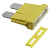 Fuses - 277-12681-ND - DigiKey
