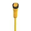 Circular Cable Assemblies - 135-500004766-ND - DigiKey